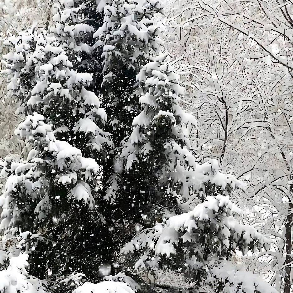 不明同学