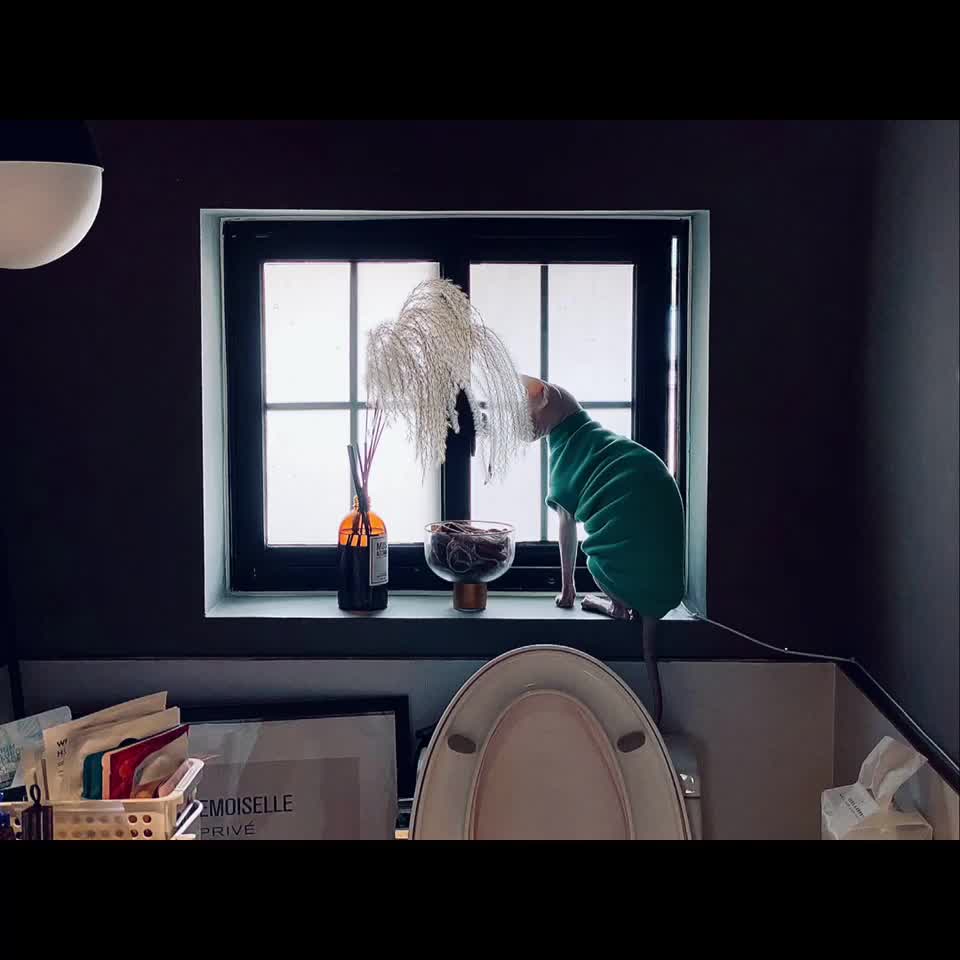 碎片