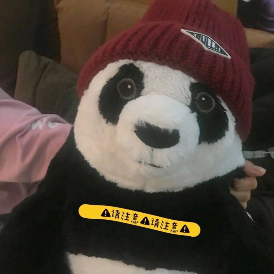 panda