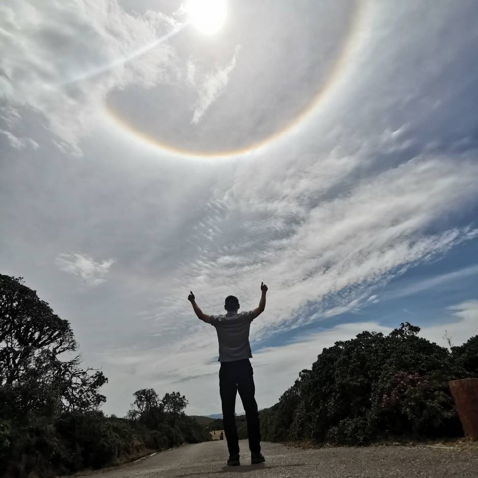 熊猫彩照奢侈ㅤㅤㅤㅤ