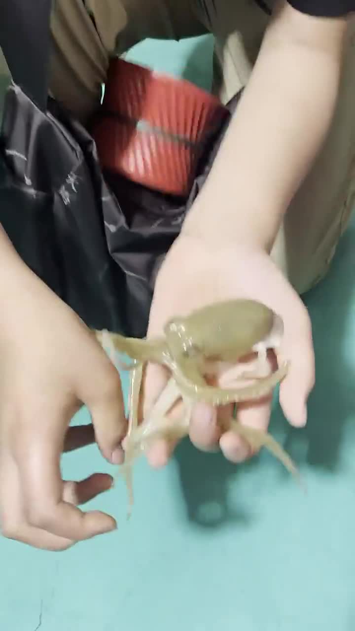 傲娇啊
