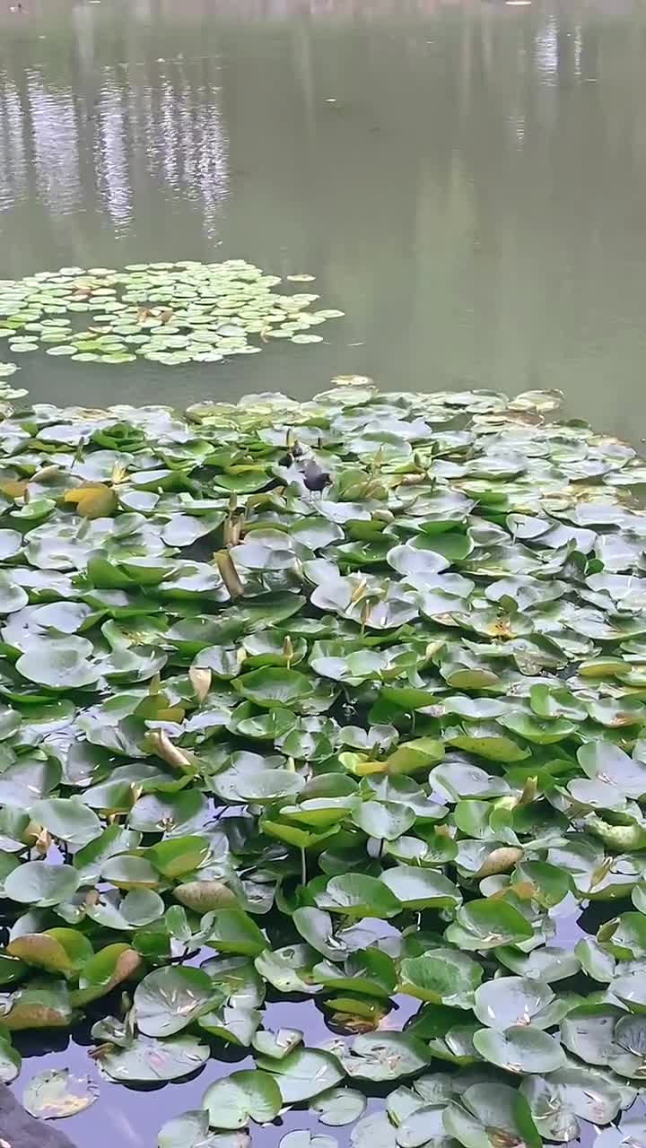 记录生活中的小美好