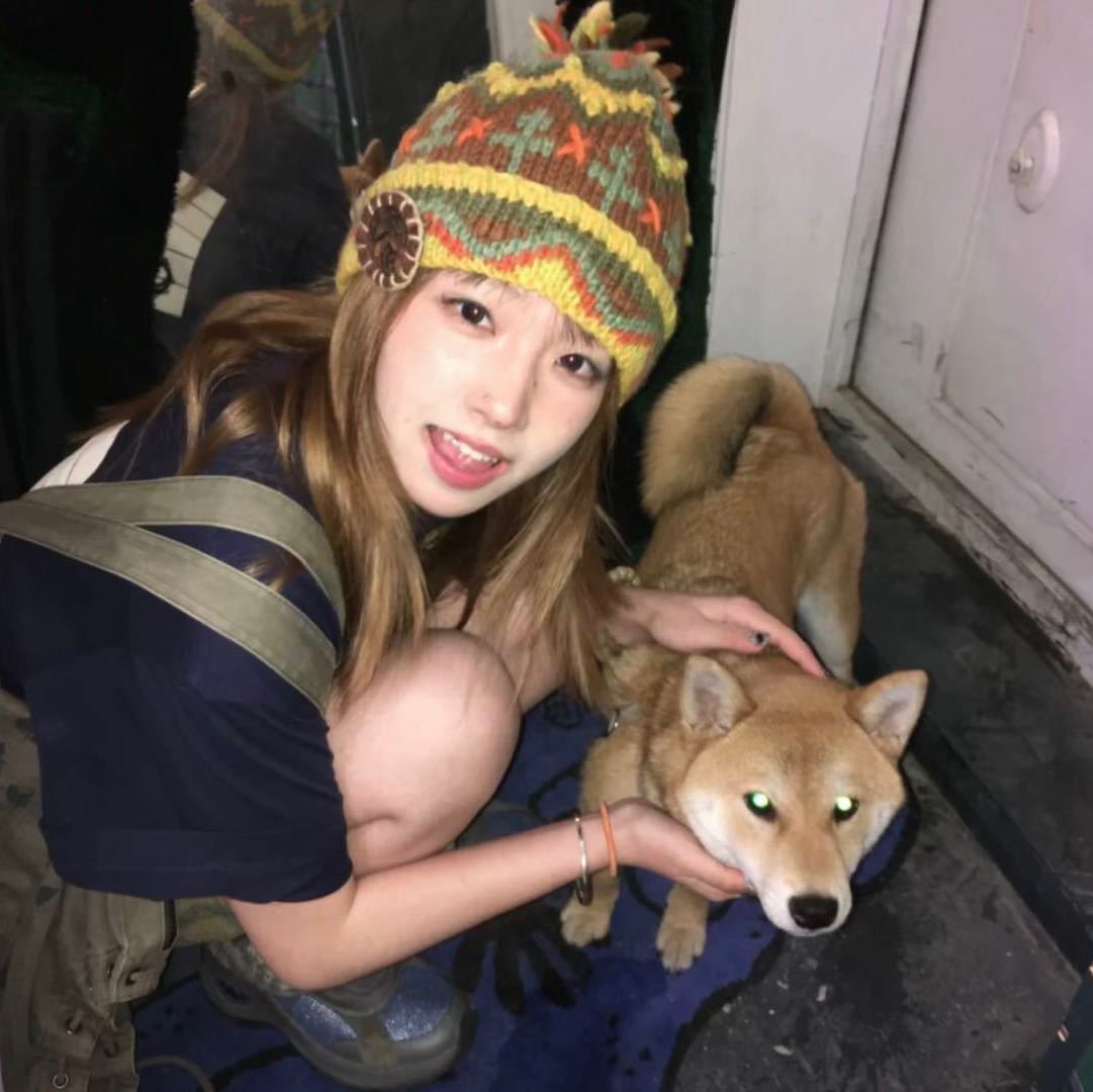 燦爛夏花