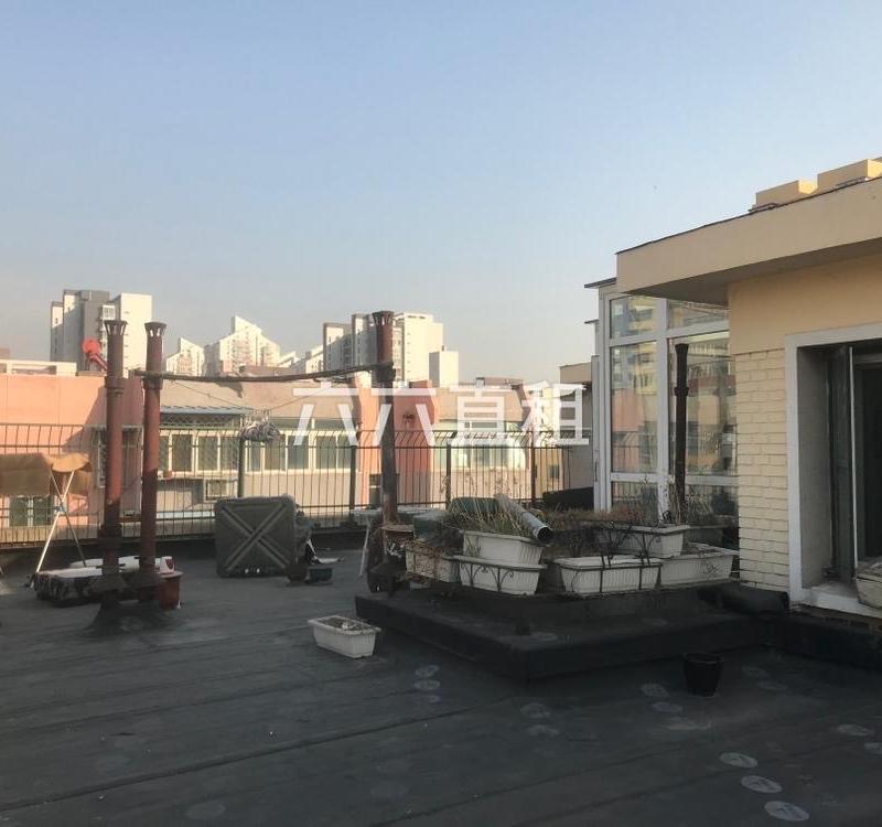 Beijing-Chaoyang-Long Term,Long & Short Term,Shared Apartment
