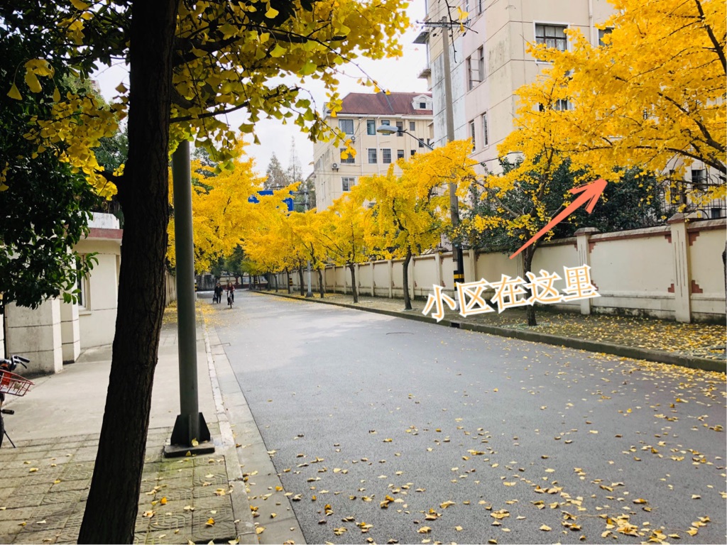 Shanghai Yangpu | 政肃路45弄_6