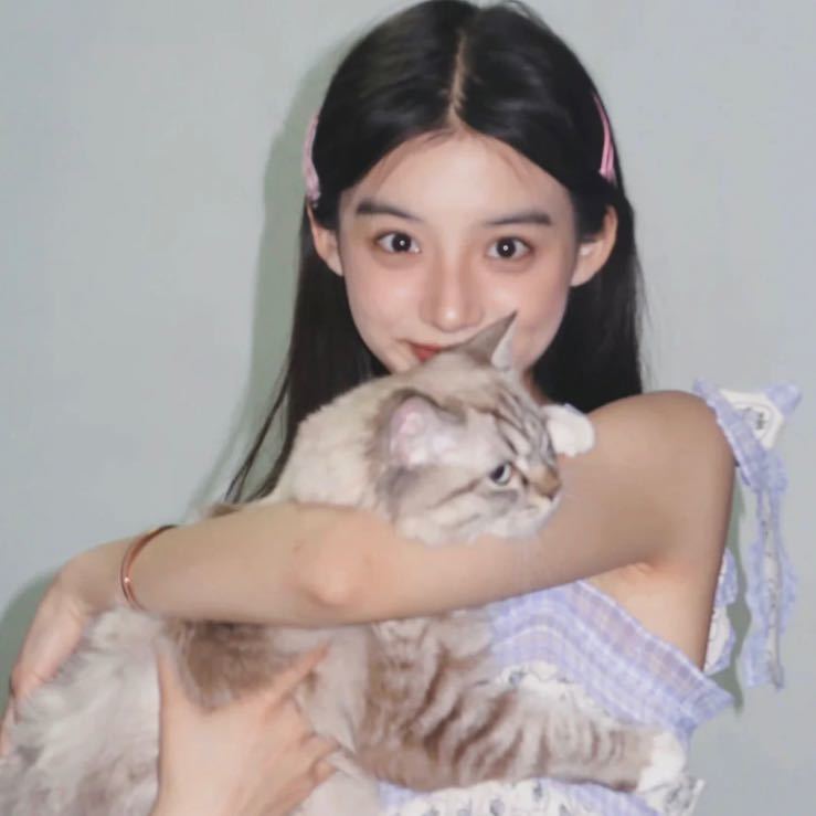 明月何皎皎