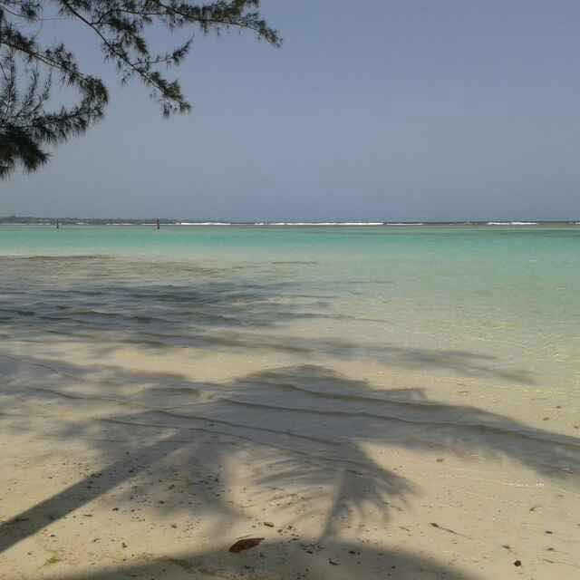 大海微博