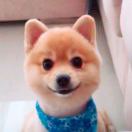 Baby Tsang