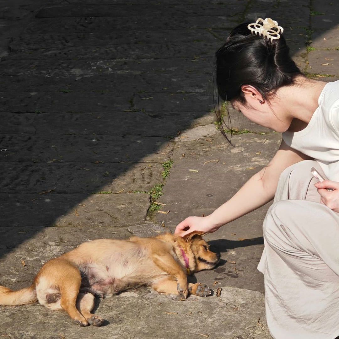 灯