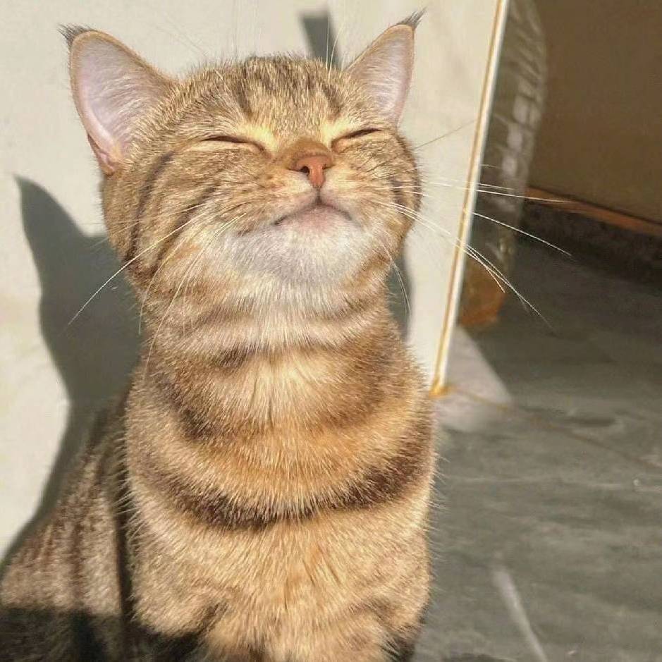 TYIX