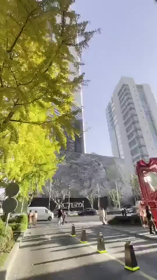 南京西路上的银杏树，金色明媚🍂