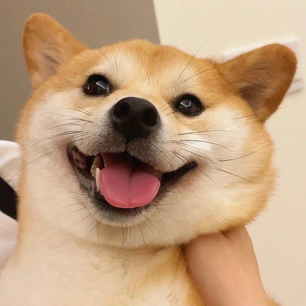 吕、