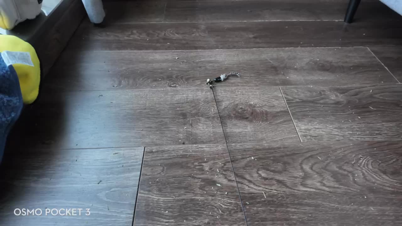 有趣的标题更吸引人