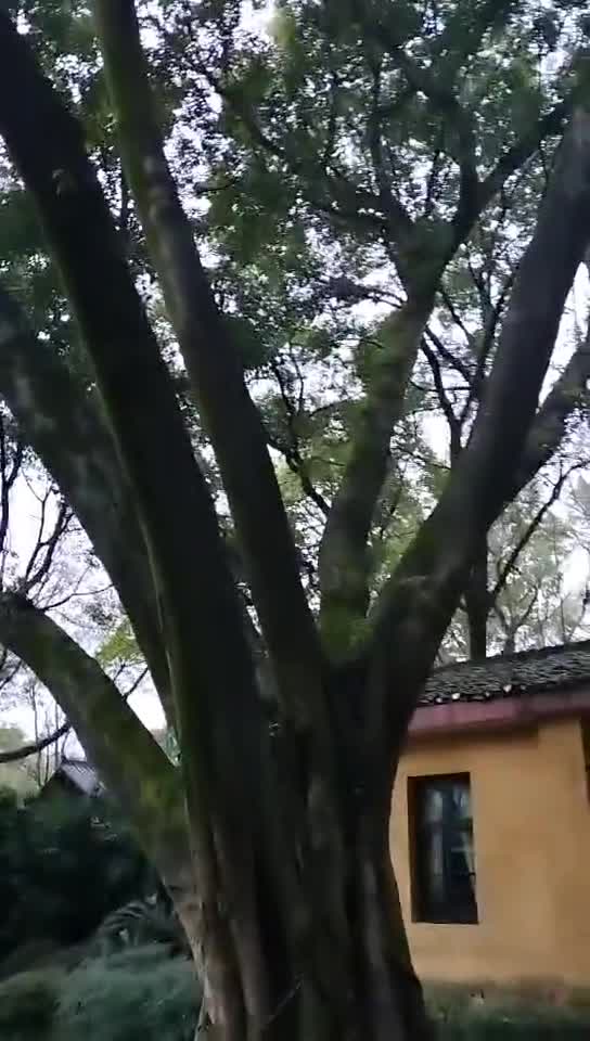  神仙房东看看我 