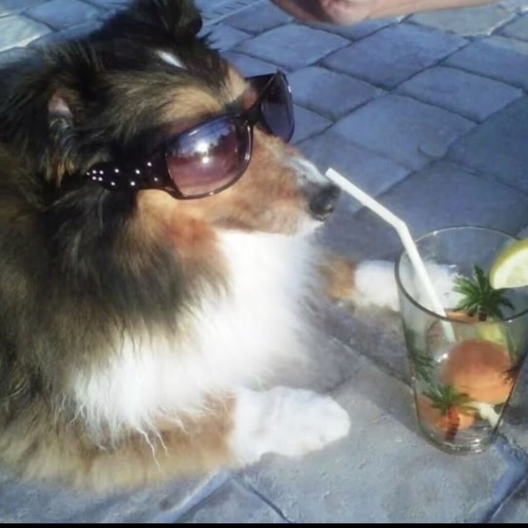 b⃞l⃞i⃞n⃞g⃞ b⃞l⃞i⃞n⃞g