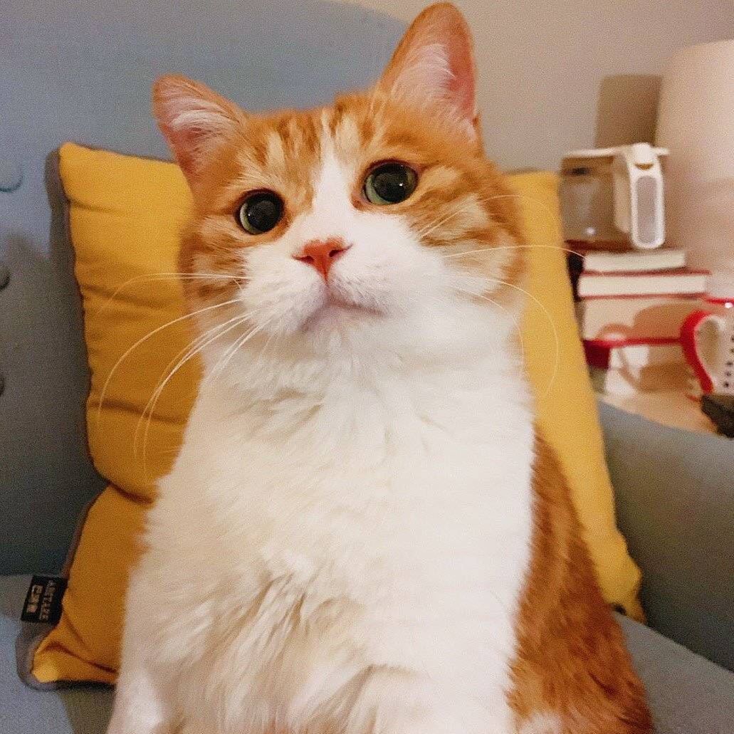 BBY