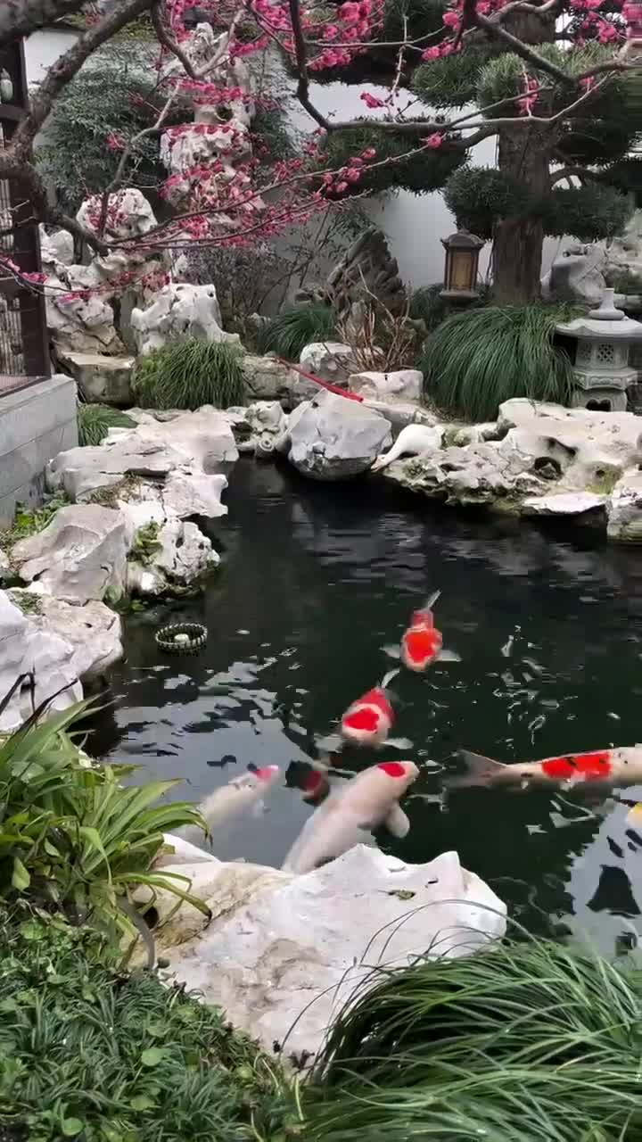 庭院美景
