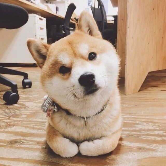 觏🍃