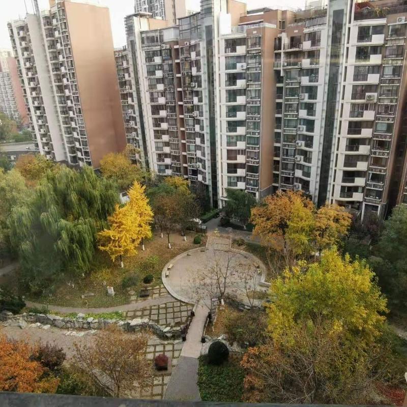 Beijing-Chaoyang-Long & Short Term,Short Term,Shared Apartment,Seeking Flatmate