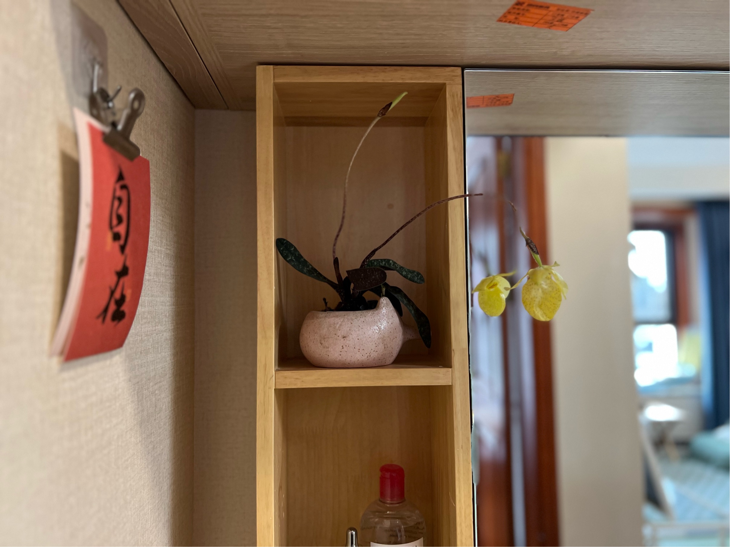 Beijing-Chaoyang-Cozy Home,Clean&Comfy,No Gender Limit,Chilled,LGBTQ Friendly,Pet Friendly