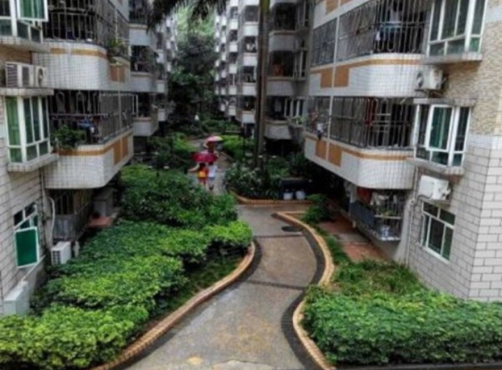 Shenzhen-Longhua-Cozy Home,Clean&Comfy