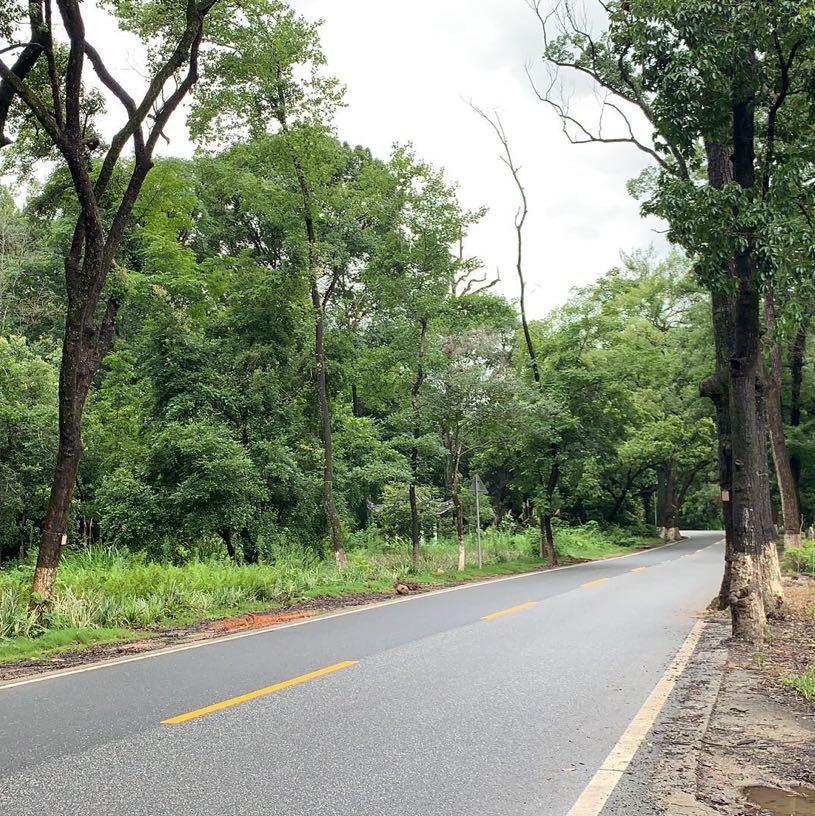 明明
