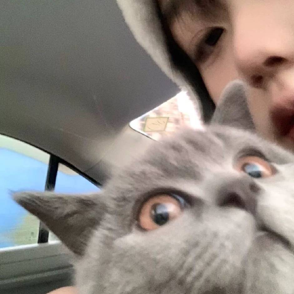 🌫