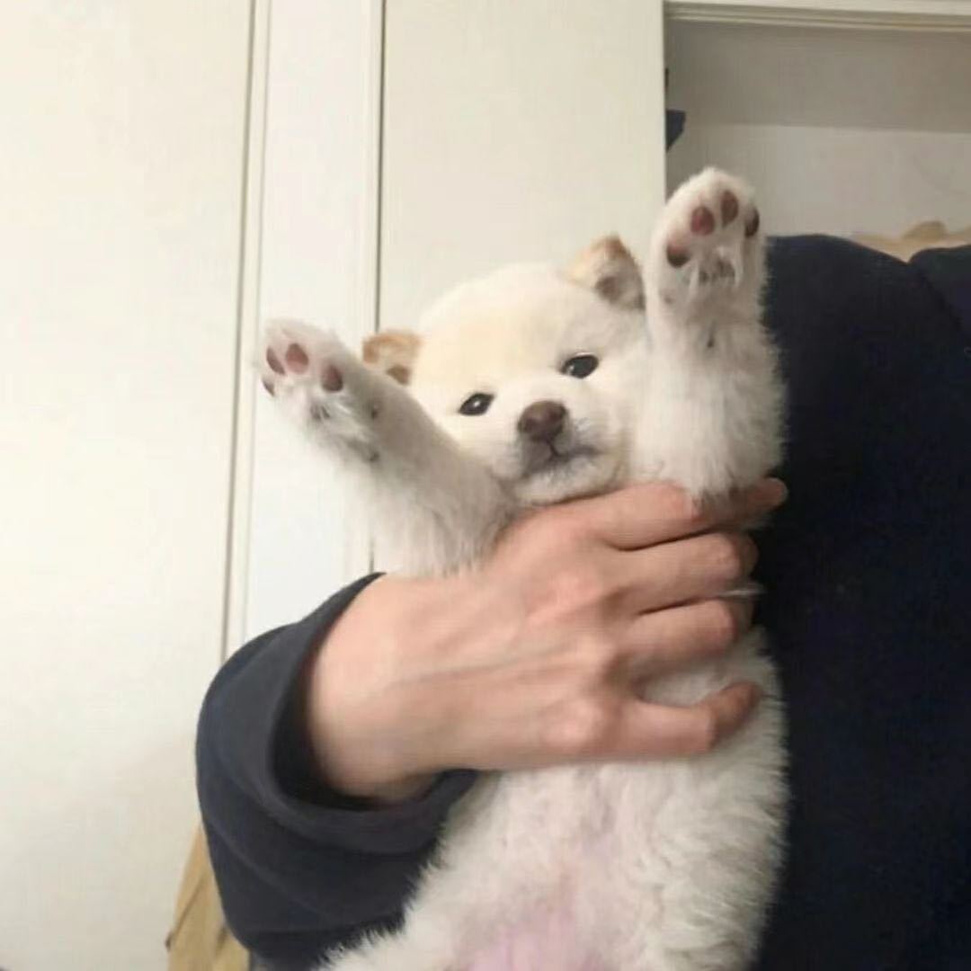 ss