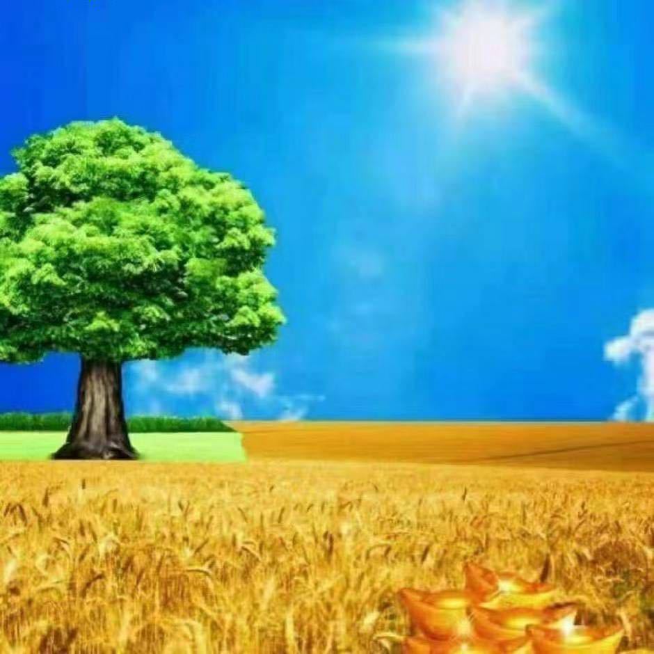 鱼子匠 奇美 设计 彭智斌