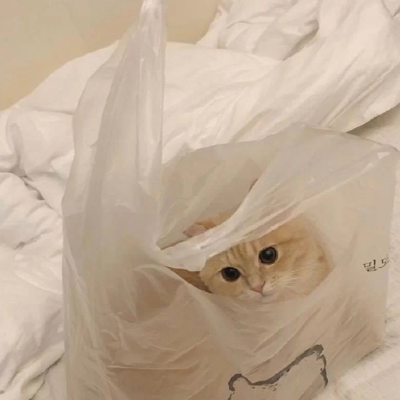 。