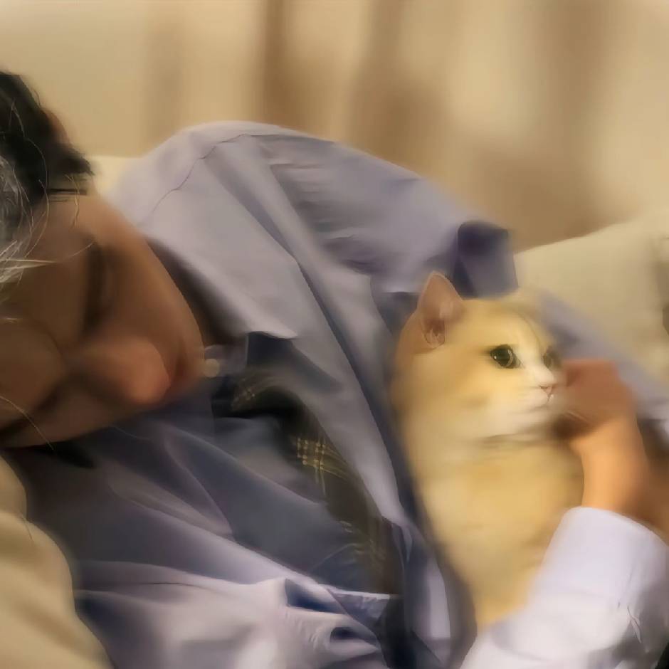 冰糖炖雪李