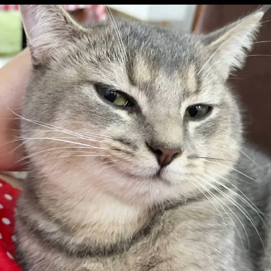 Arya