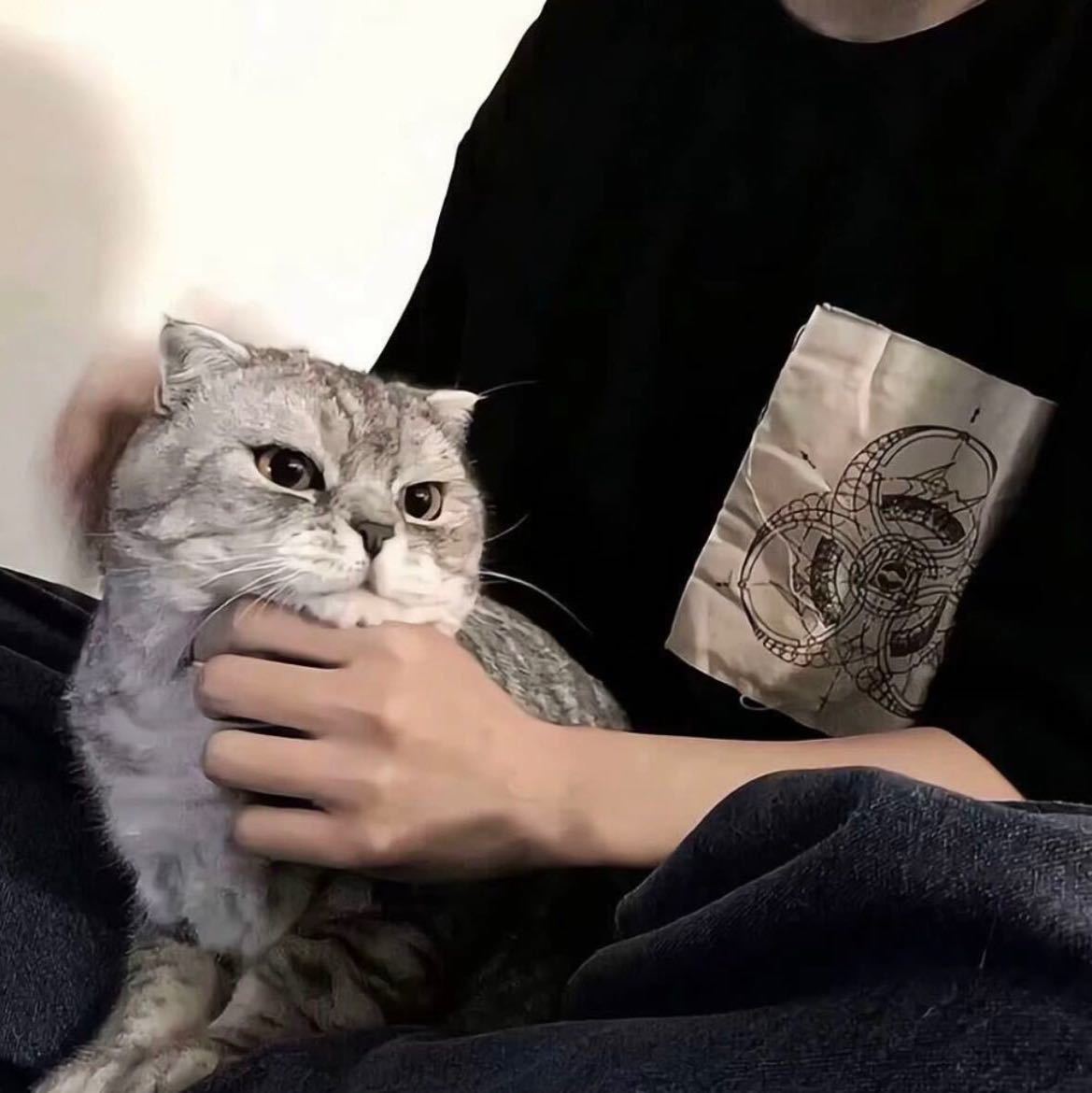 zy