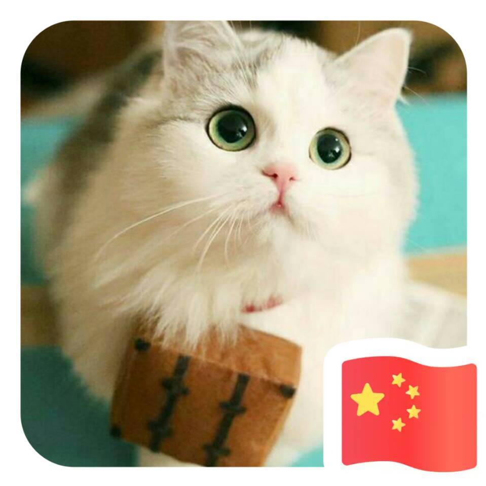 杨利峰⁵²º⅓¼