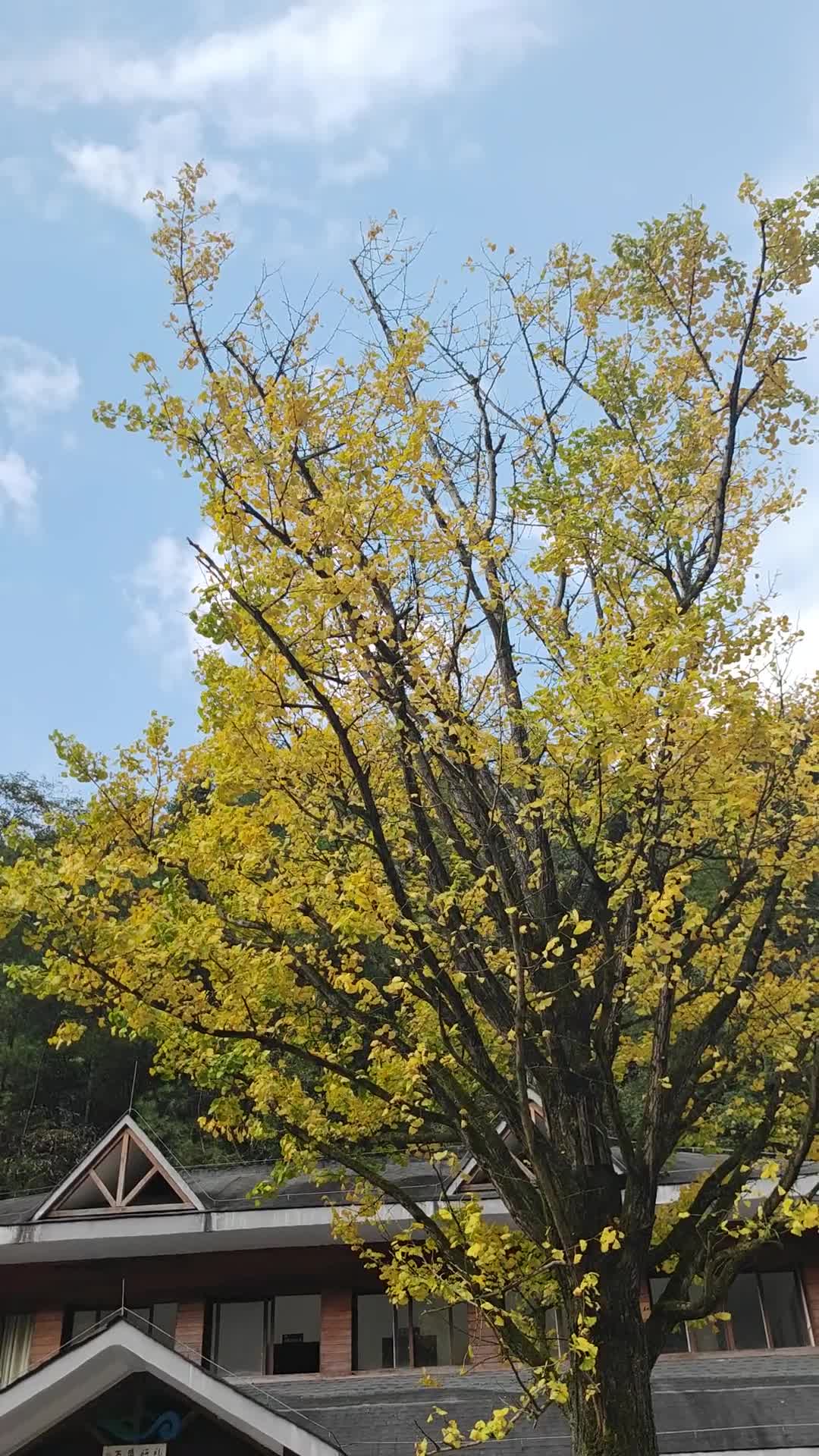 12月找女孩子一起合租