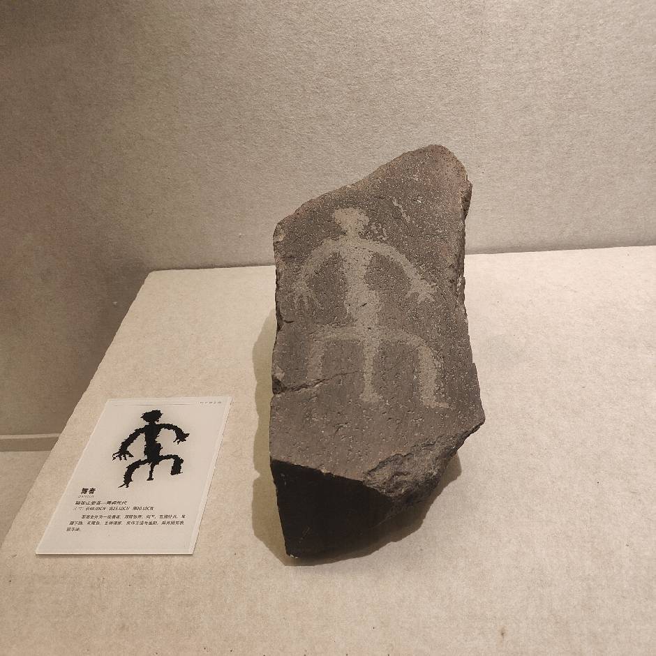 康摆摆睡不醒