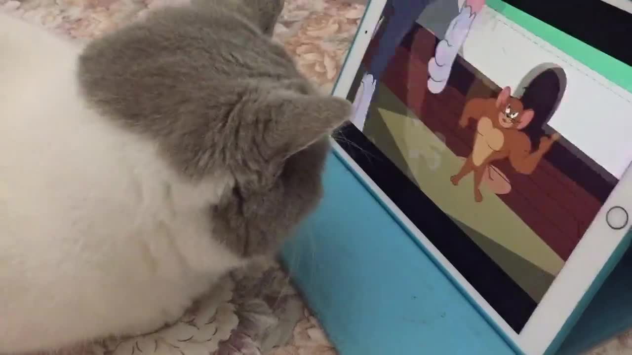Watch video 