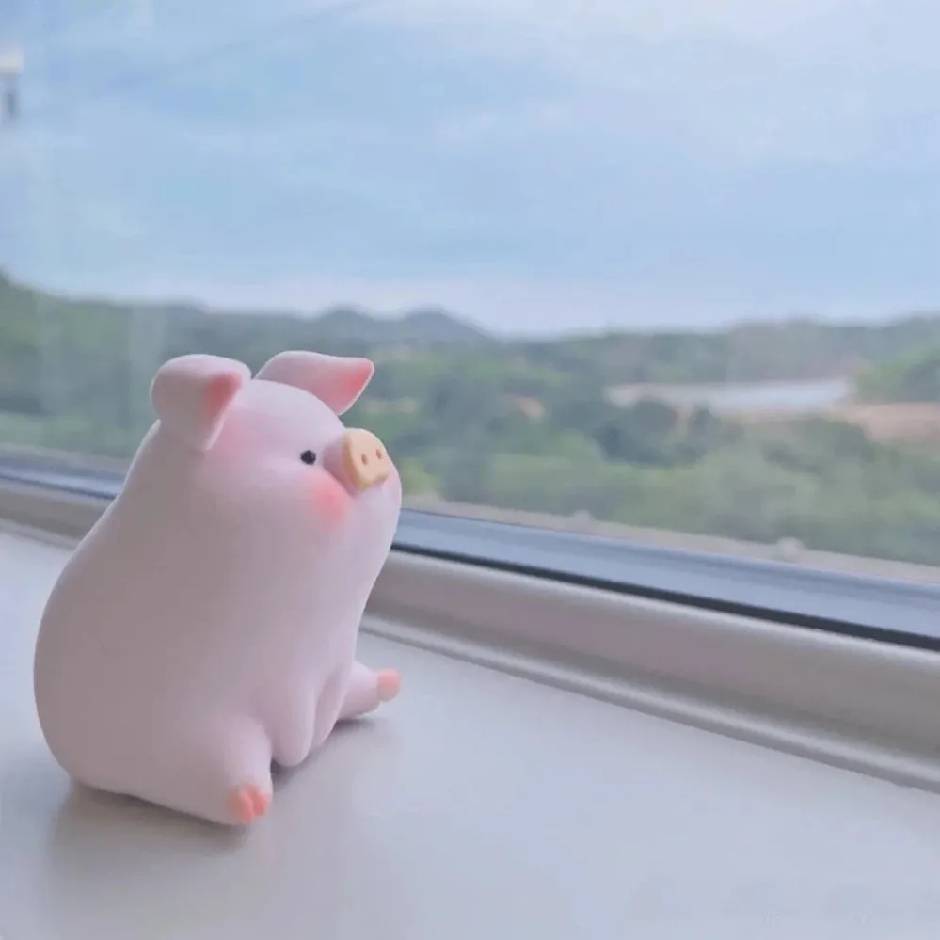 香猪小妹