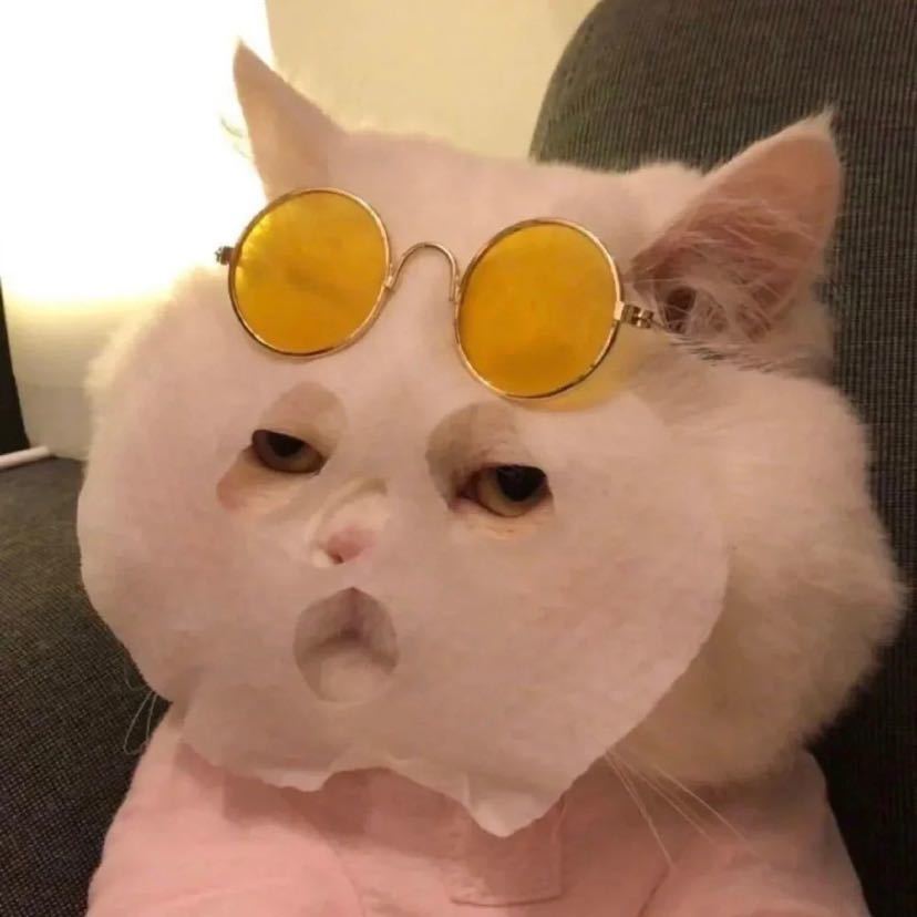 Miss Cai