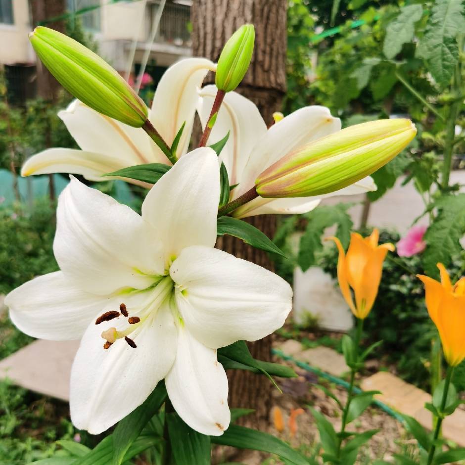 温馨小屋
