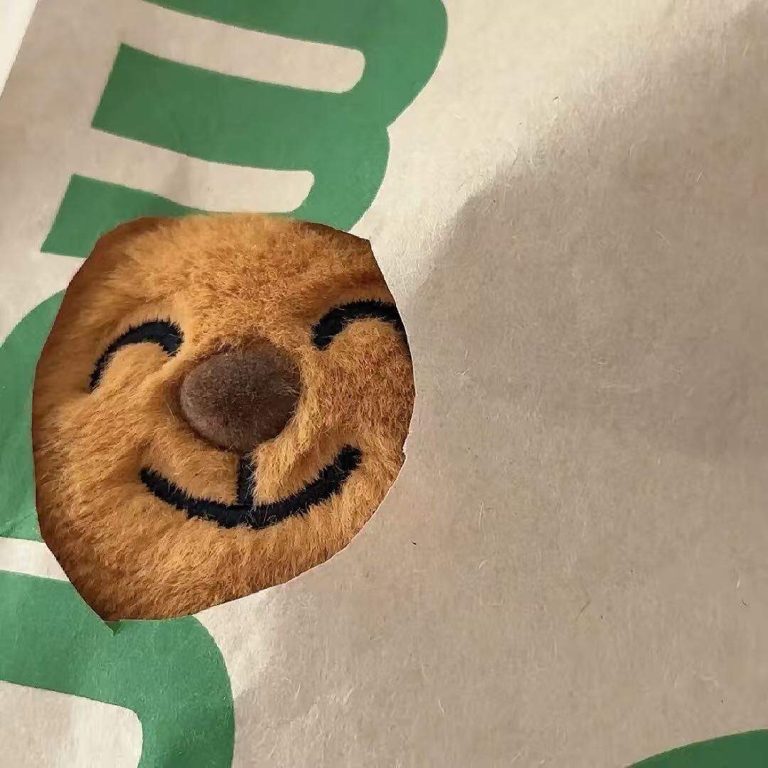 Xxxx 