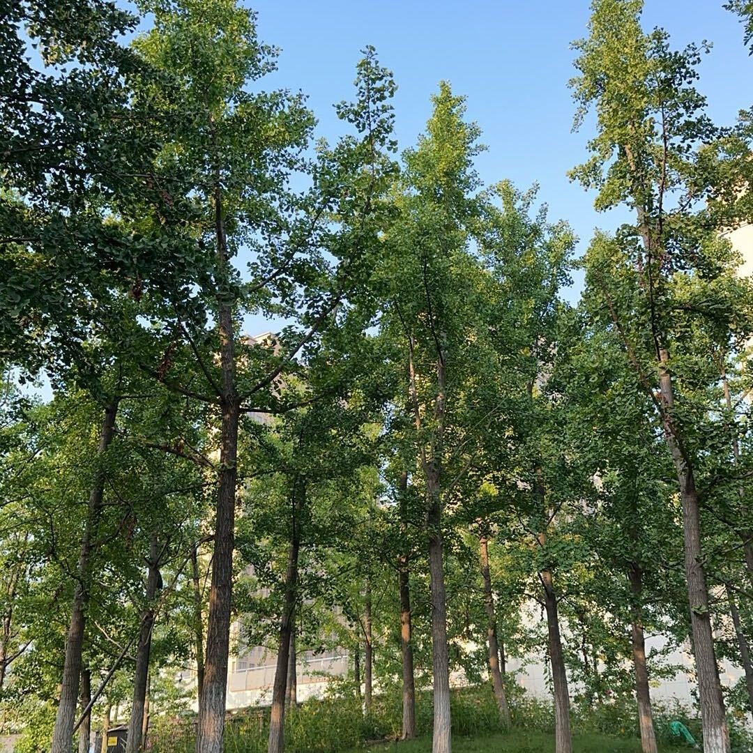 平凡快乐