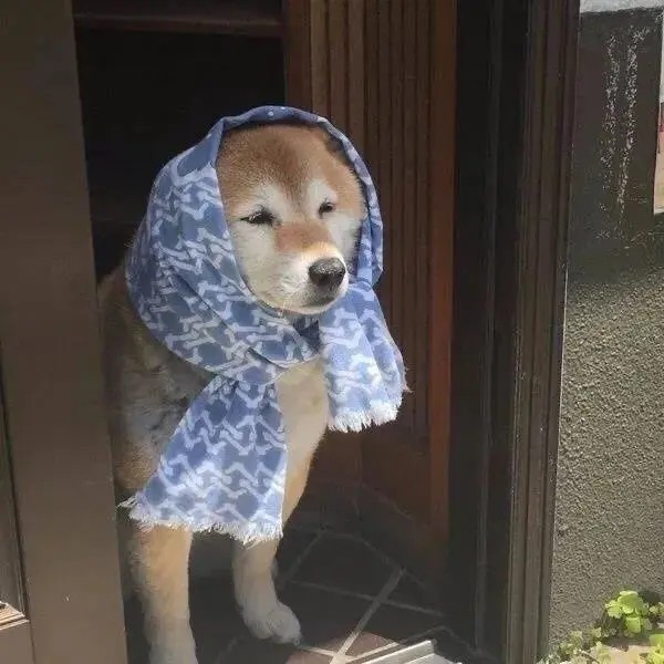 ただいま