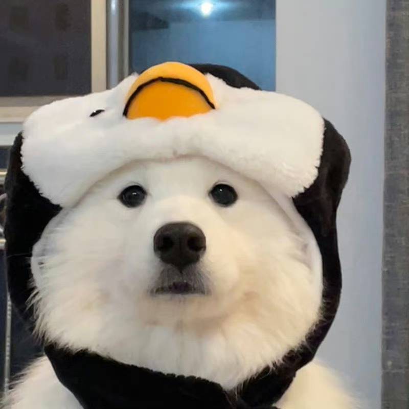 南星