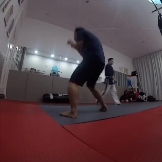 Yoseikan Budo mixed martial arts is open and working. Came and take your free class. 在上海新开的养正馆综合武道馆大家都欢迎来测试我们免费体验活动