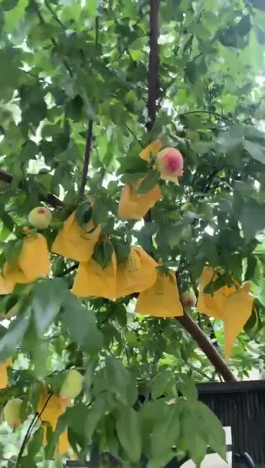  神仙房东看看我 