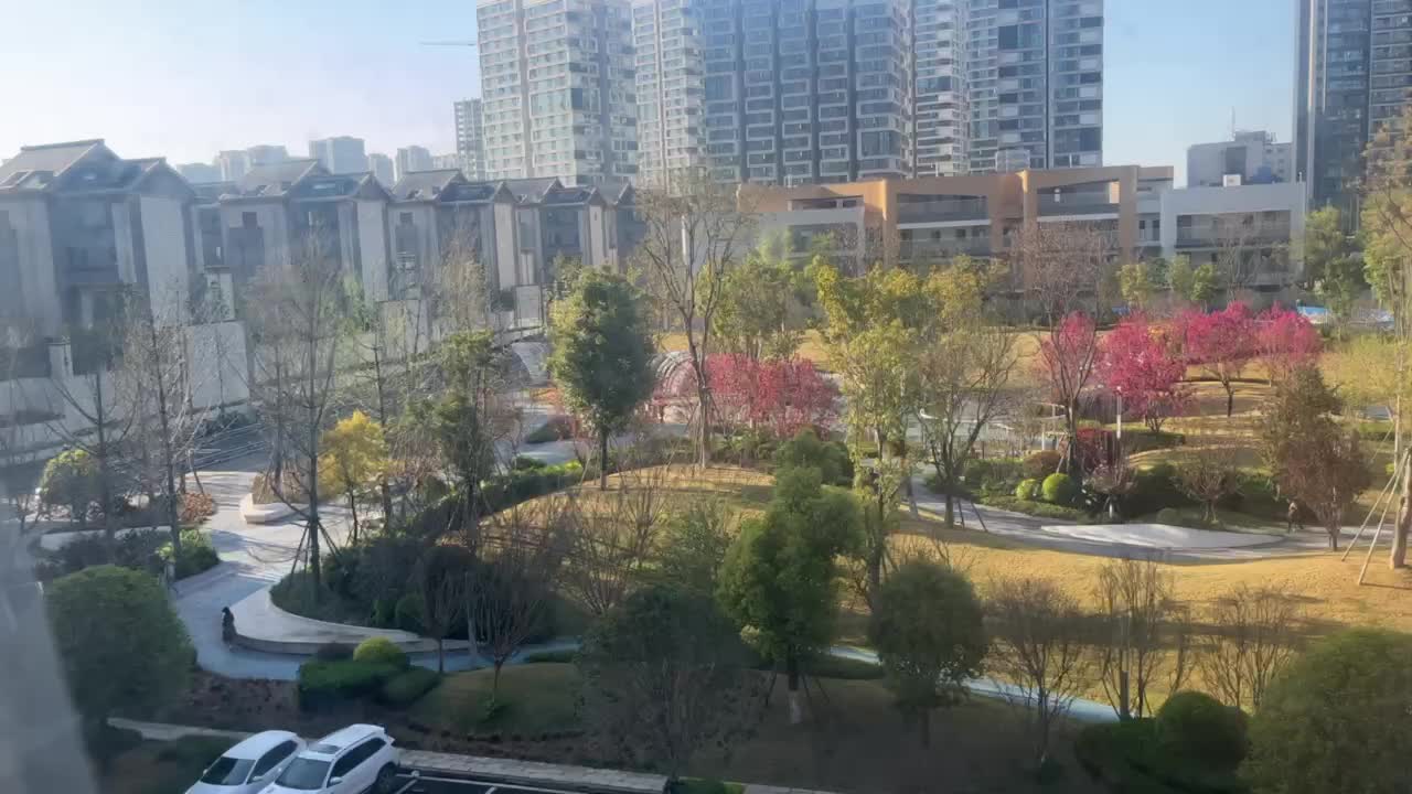 今天成都的天气