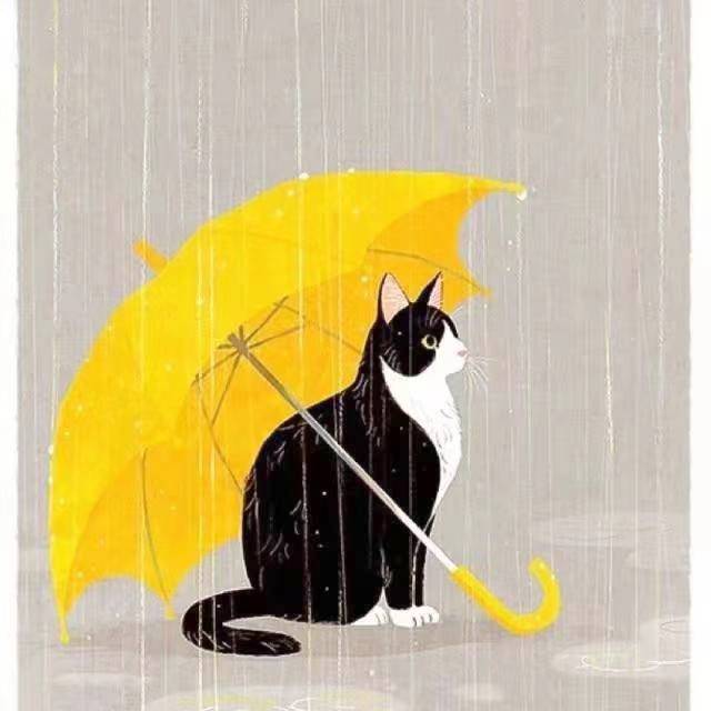 沐九