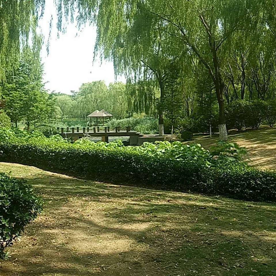 王彪