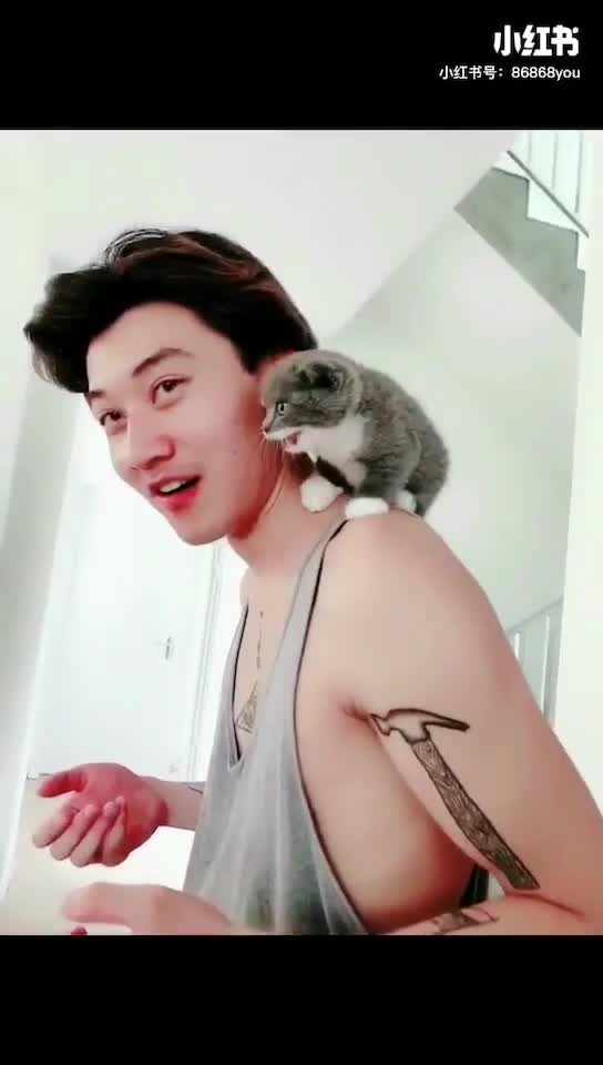 Chill life with our Flatmates | 我们的单身公寓，一起生活的很惬意哦(´-ω-`)